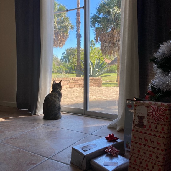 Meet your Posher, Miranda - Picture 11 of 11